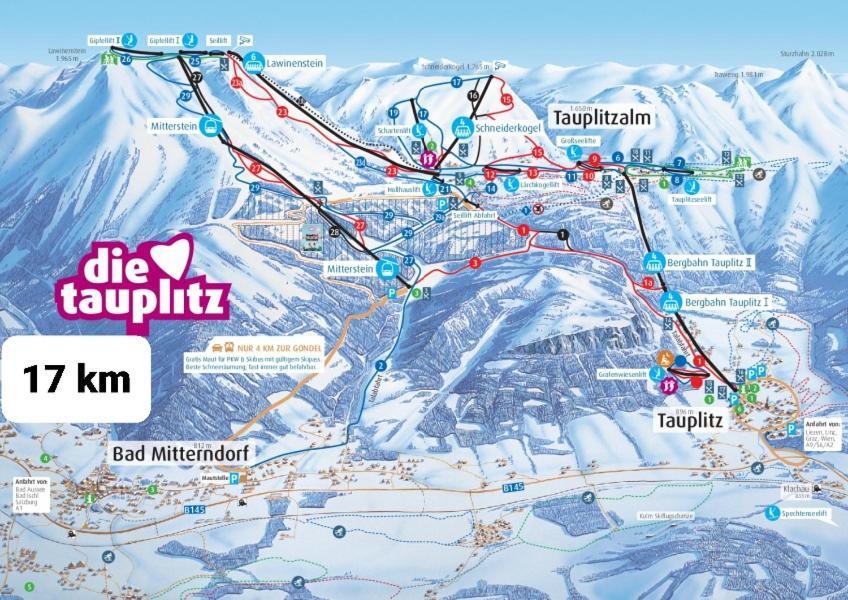 Ausseerland Apartments - Relax, Ski, Hike And Bike, Garden, Parking, Bbq, Near Hallstatt, Loser, Tauplitz And Krippenstein, Free Wi-Fi And Netflix "바트아우시 외부 사진