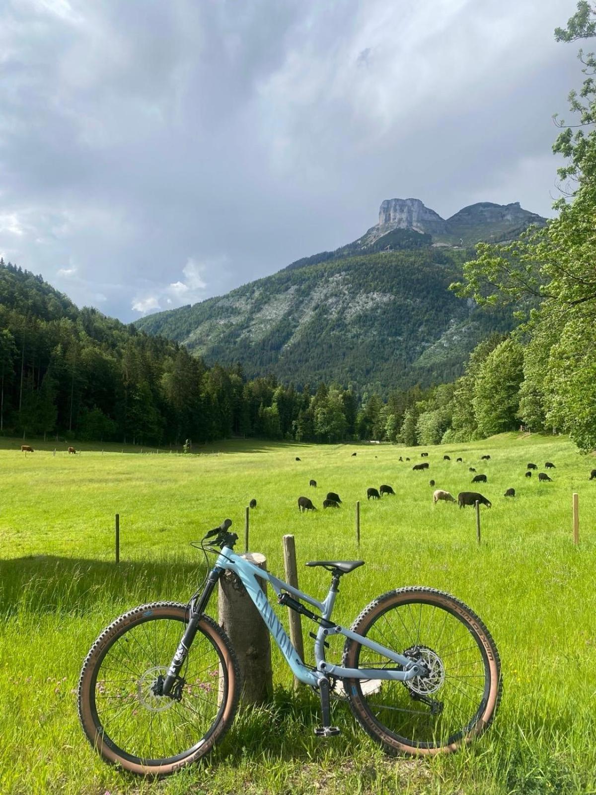 Ausseerland Apartments - Relax, Ski, Hike And Bike, Garden, Parking, Bbq, Near Hallstatt, Loser, Tauplitz And Krippenstein, Free Wi-Fi And Netflix "바트아우시 외부 사진