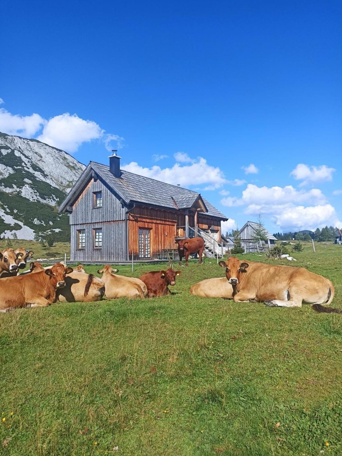 Ausseerland Apartments - Relax, Ski, Hike And Bike, Garden, Parking, Bbq, Near Hallstatt, Loser, Tauplitz And Krippenstein, Free Wi-Fi And Netflix "바트아우시 외부 사진