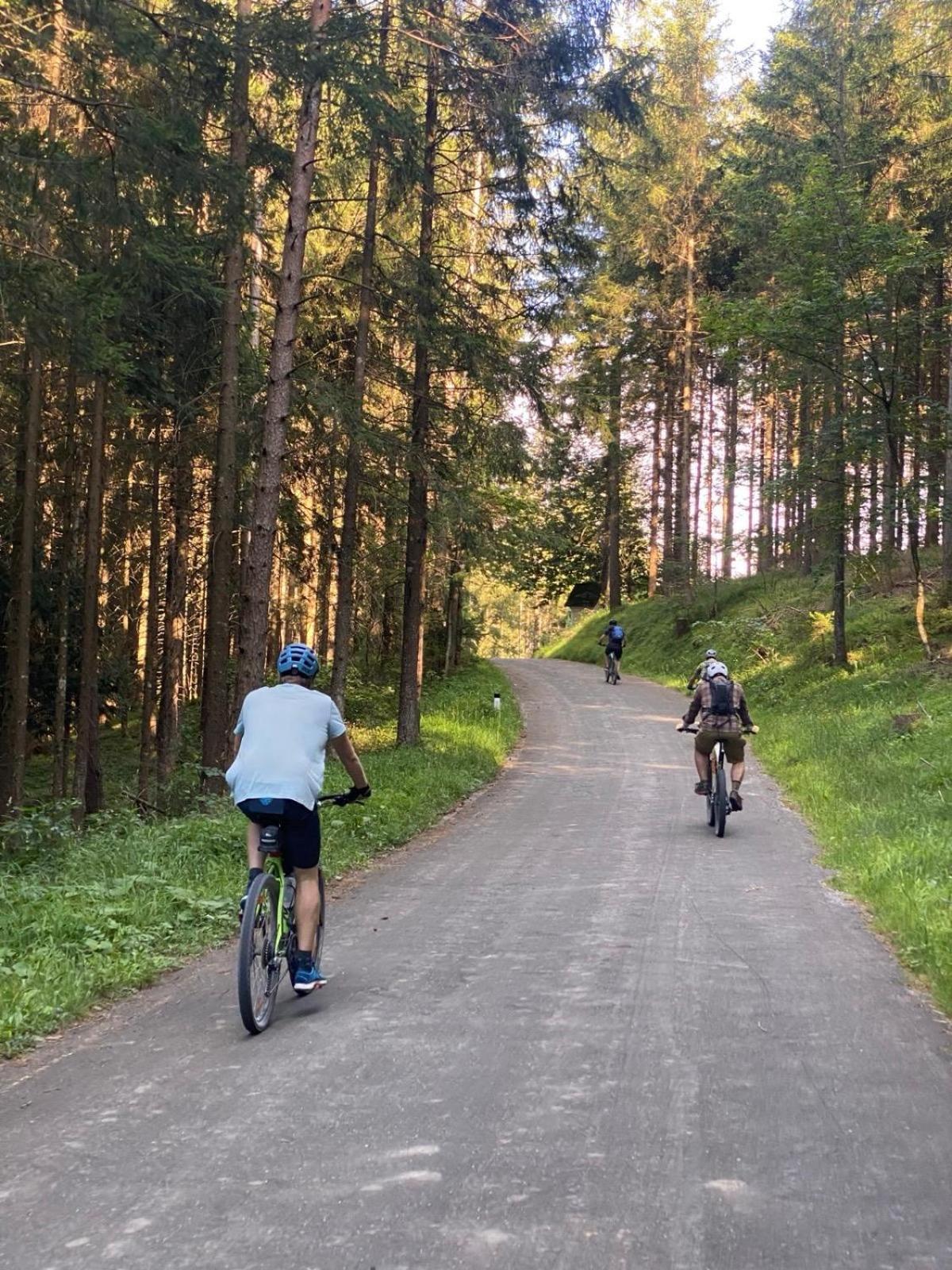 Ausseerland Apartments - Relax, Ski, Hike And Bike, Garden, Parking, Bbq, Near Hallstatt, Loser, Tauplitz And Krippenstein, Free Wi-Fi And Netflix "바트아우시 외부 사진